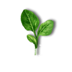 Garden of Innovation